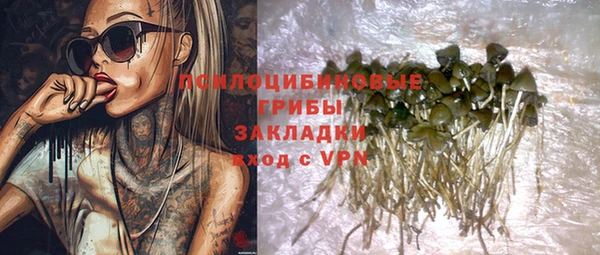 ПСИЛОЦИБИНОВЫЕ ГРИБЫ Алексин