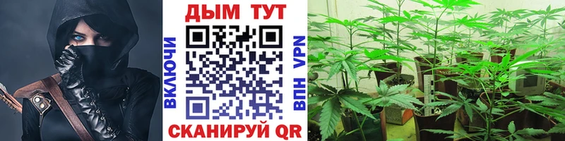 сайты даркнета состав  Аткарск  Шишки марихуана THC 21%  закладка 